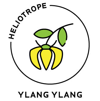 Essential Oil - Vanilla